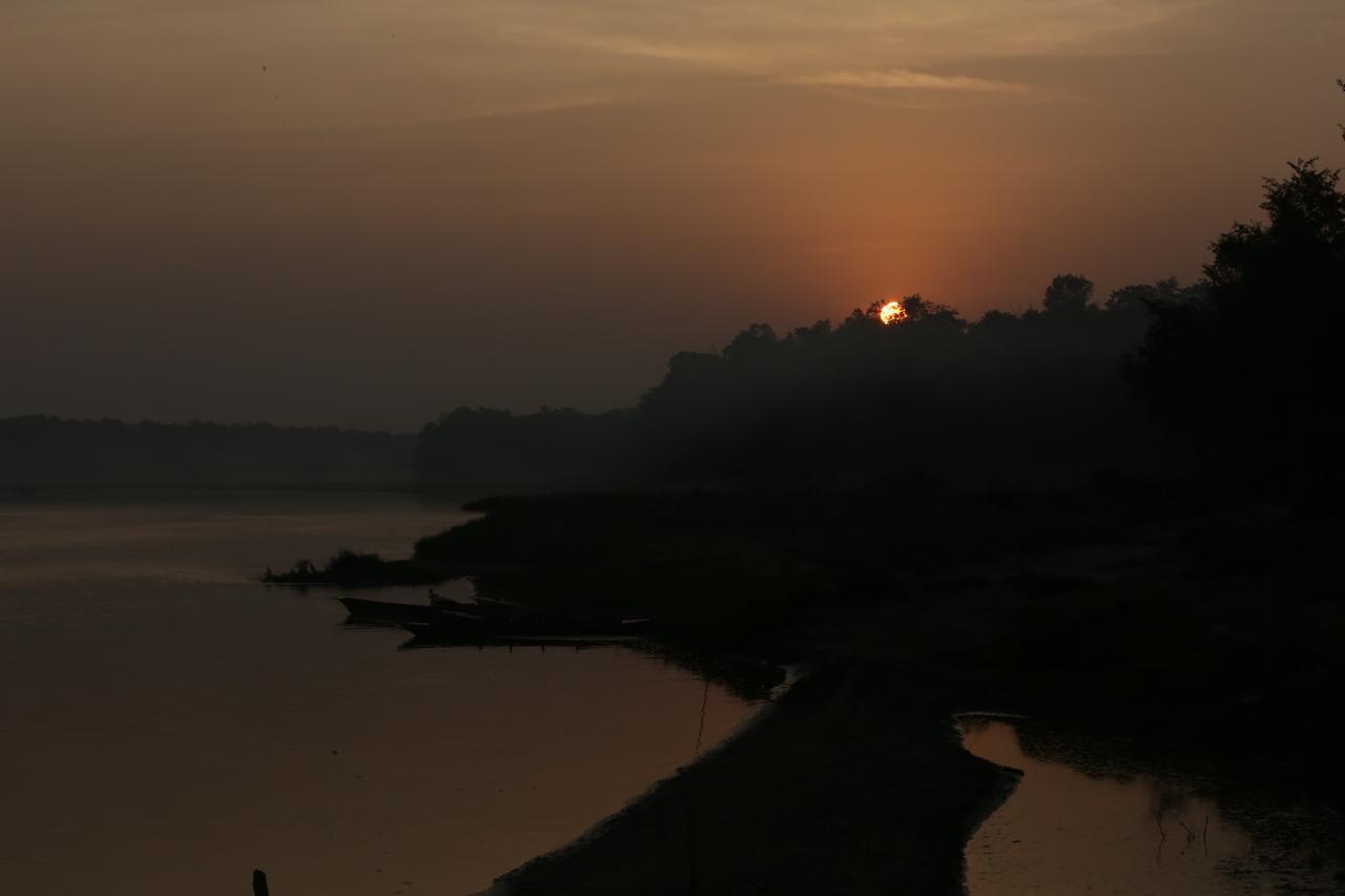 Jungle Villa Resort - Near Chitwan National Park Exteriör bild